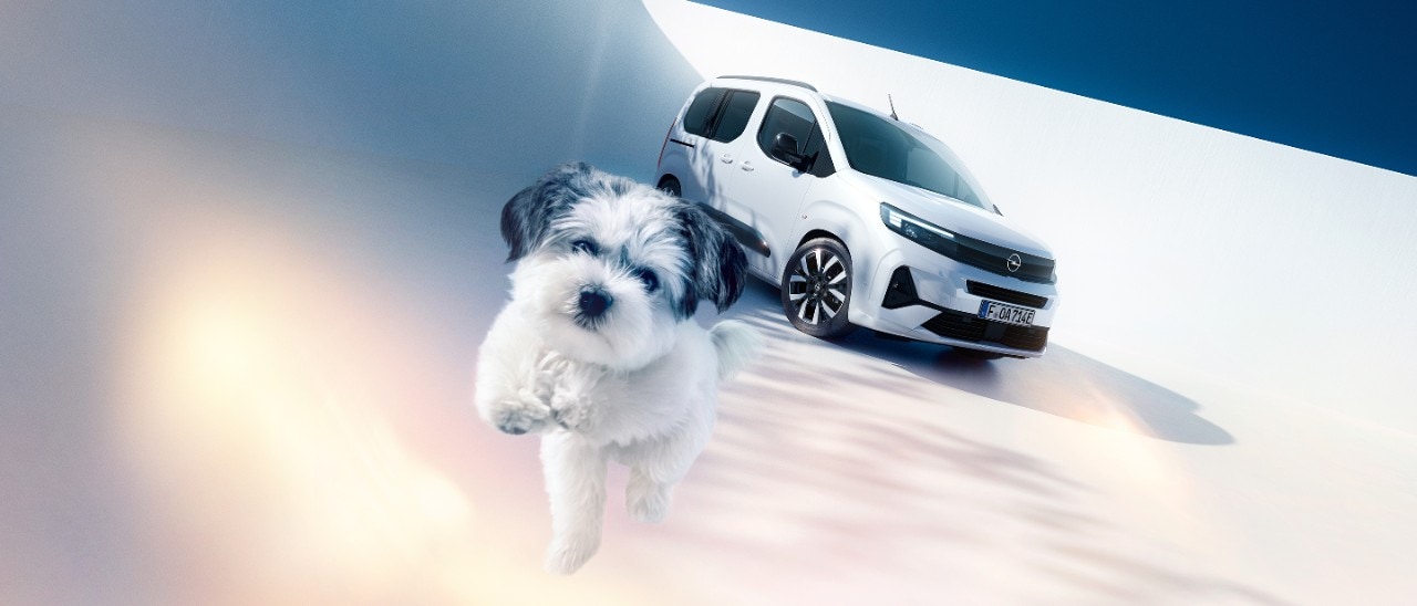 Vista frontal de un Opel Combo Electric blanco y un perro