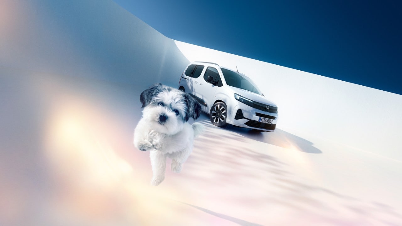 Vista frontal de un Opel Combo blanco y un perro